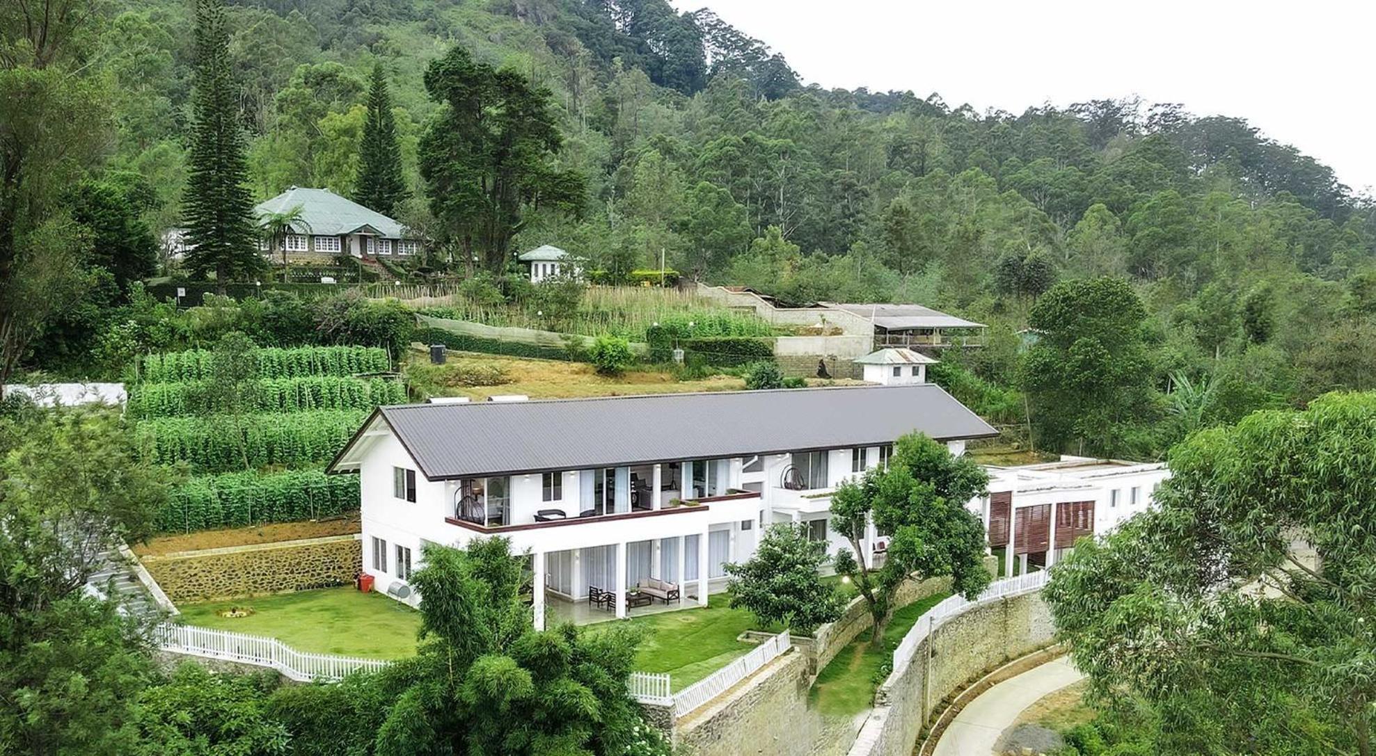 Benito Bungalow By The Serendipity Collection 哈普特莱 外观 照片